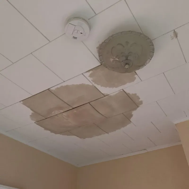 Ceiling Water Damage Repair in Lynchburg, TN