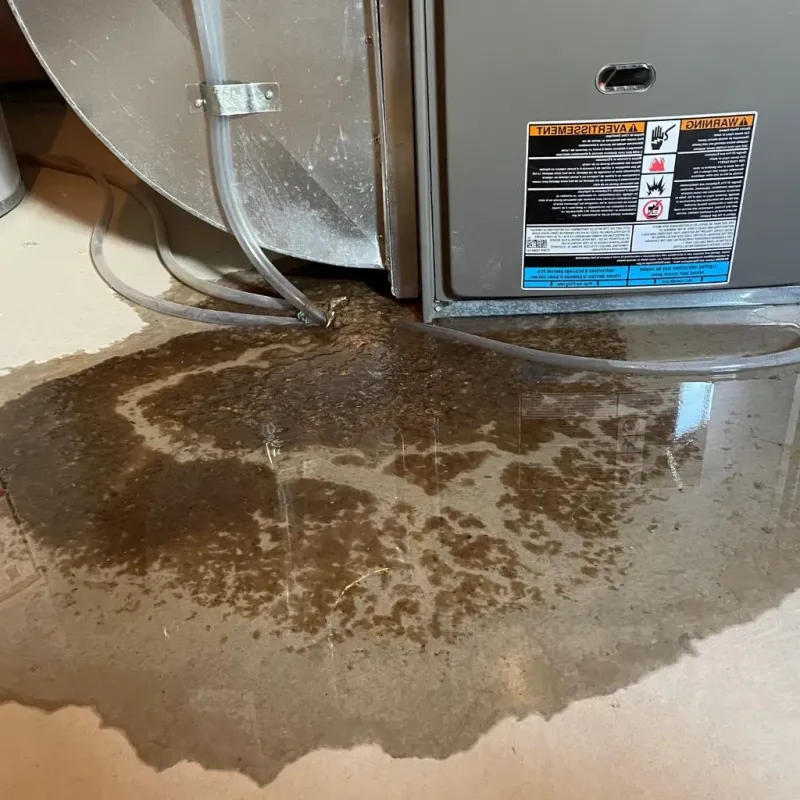 Pipe Burst and Leak Restoration in Lynchburg, TN