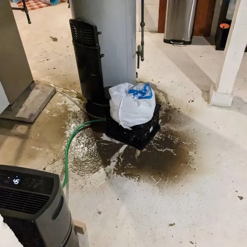 Sewage Backup Cleanup Service in Lynchburg, TN